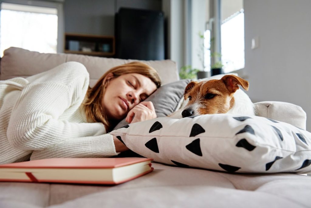 Tired millennial woman sleeps on sofa with her dog